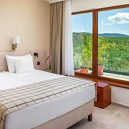 Hotel Silvanus Wellness And Conference 4*